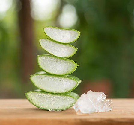 aloevera rhumatisme elixir de bien-être Caroline Naturopathe